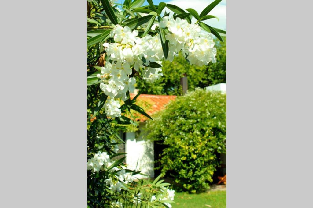 Villa Big beautiful house with garden in 5ta Sección neighbourhood Mendoza Exterior foto