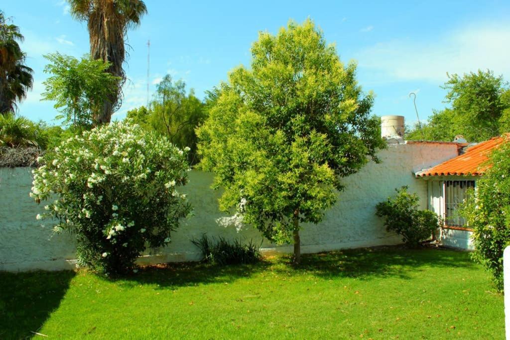 Villa Big beautiful house with garden in 5ta Sección neighbourhood Mendoza Exterior foto