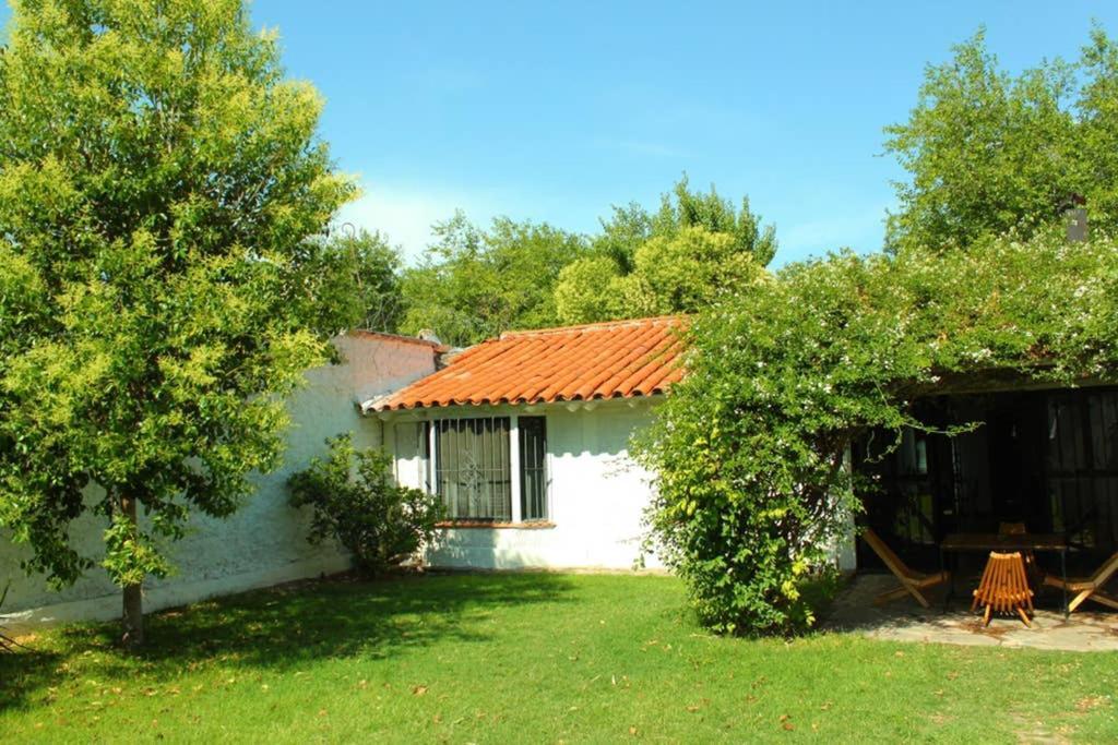 Villa Big beautiful house with garden in 5ta Sección neighbourhood Mendoza Exterior foto